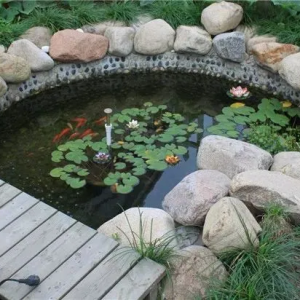 2025年辛巳月壬水日主运势指南5月5日—6月4日